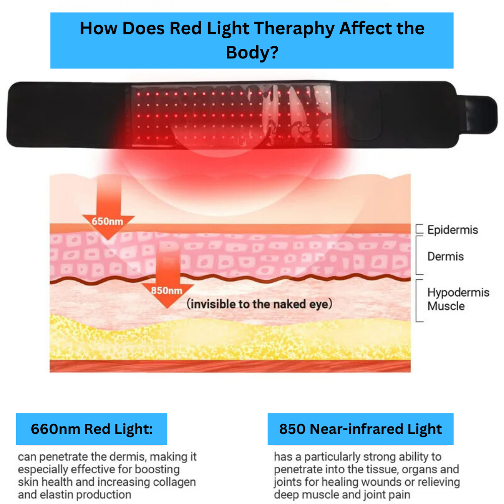 Infrared Warming Belt With Red Light Therapy for Pain Relief